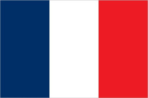 France Flag Magnet Mini